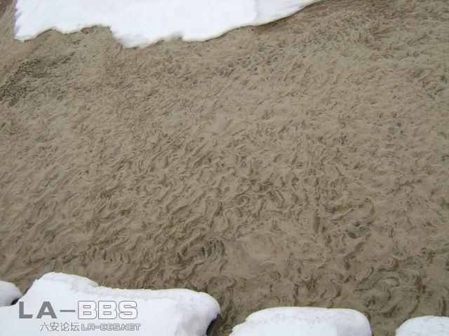 调整大小 DSC01235.JPG