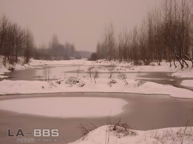 调整大小 DSC01228.JPG