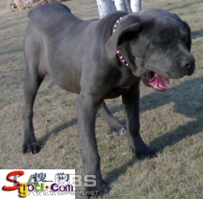 纽波利顿-人民公园内