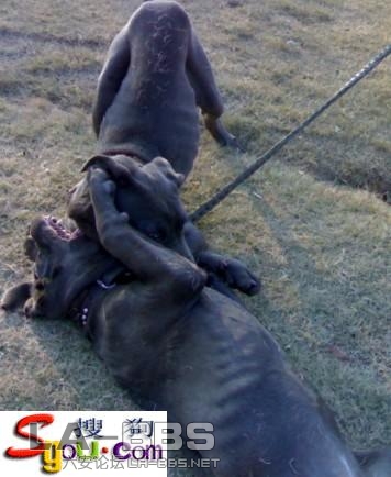 纽波利顿-人民公园内