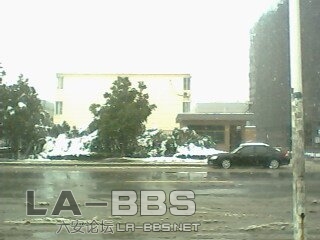 本人宿舍，哈哈！