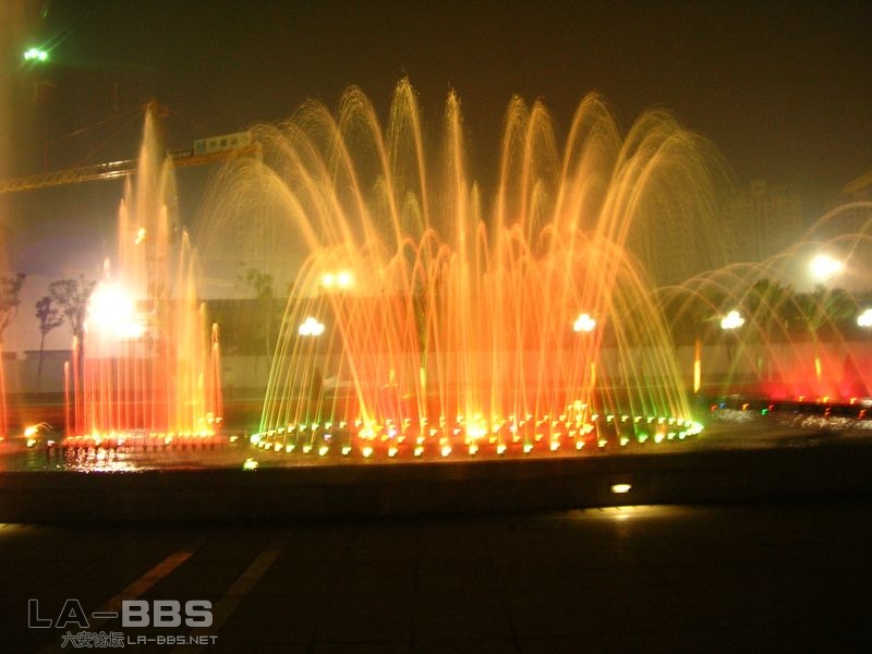 DSCN3107 [800x600].JPG