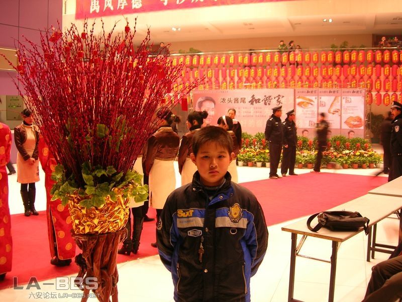 DSCN3013 [800x600].JPG