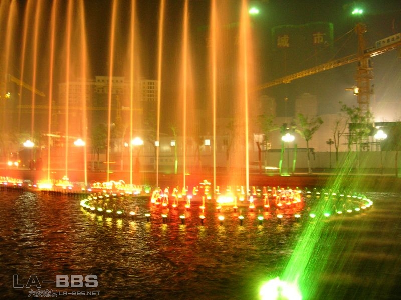 DSCN3102 [800x600].JPG