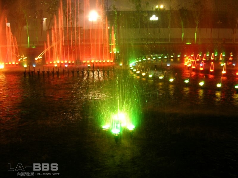 DSCN3115 [800x600].JPG