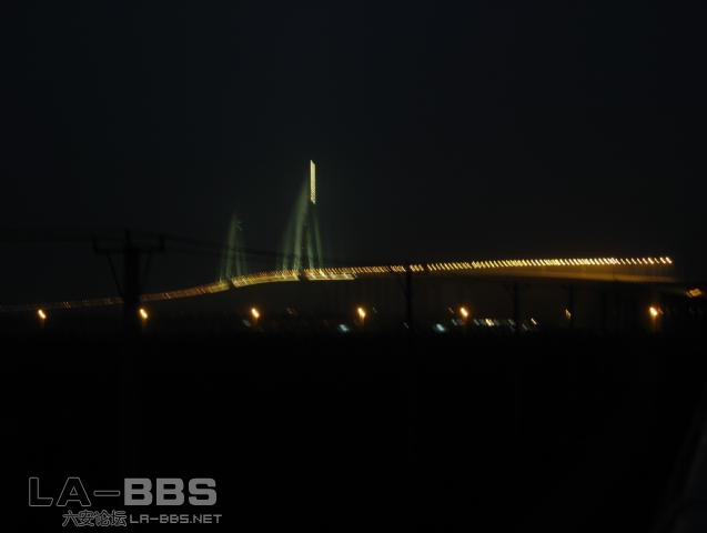 夜间的苏通大桥.jpg