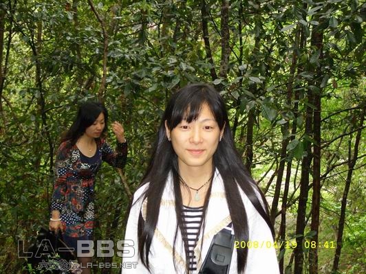 调整大小 导游.JPG