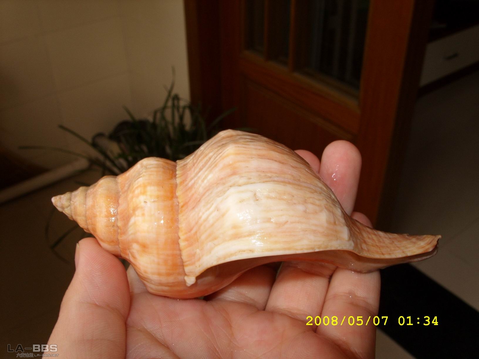 调整大小 SS850361.JPG