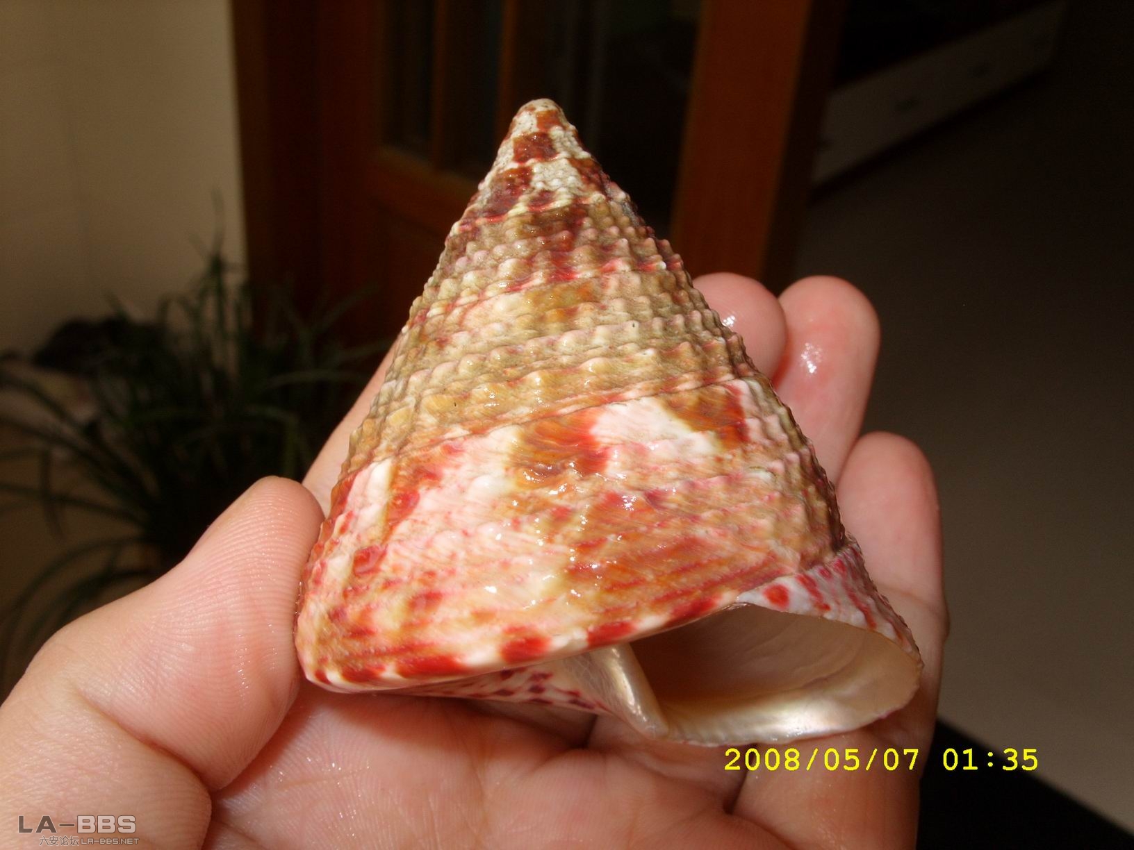 调整大小 SS850362.JPG