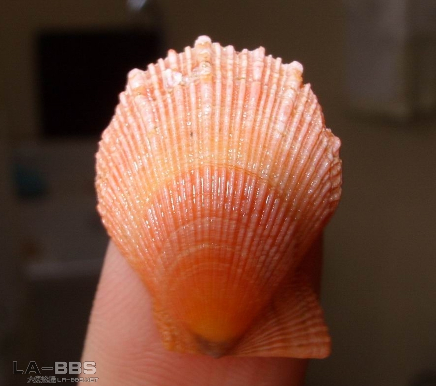 调整大小 SS850352.JPG