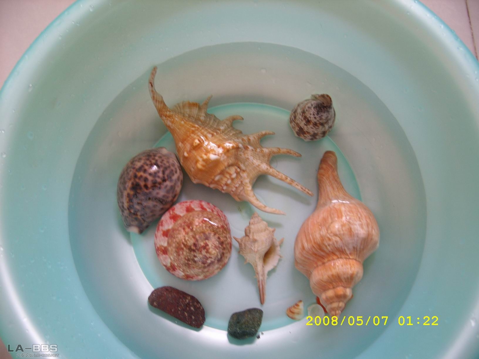 调整大小 SS850346.JPG