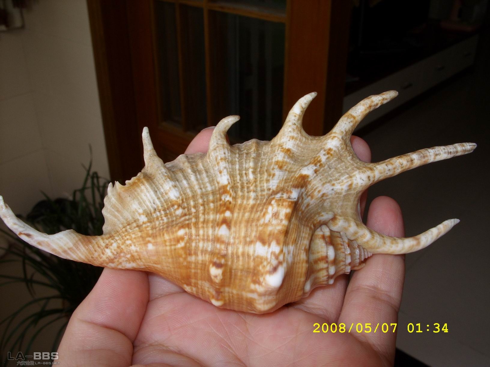 调整大小 SS850360.JPG