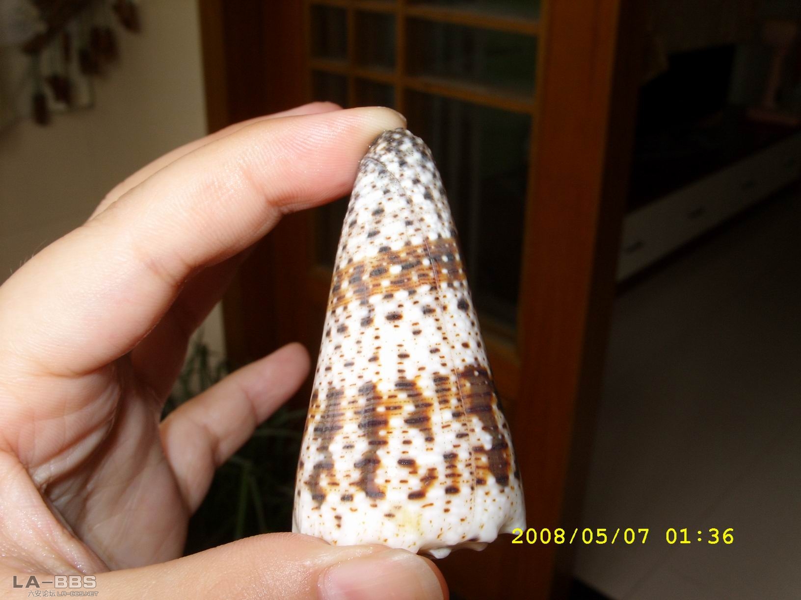 调整大小 SS850365.JPG