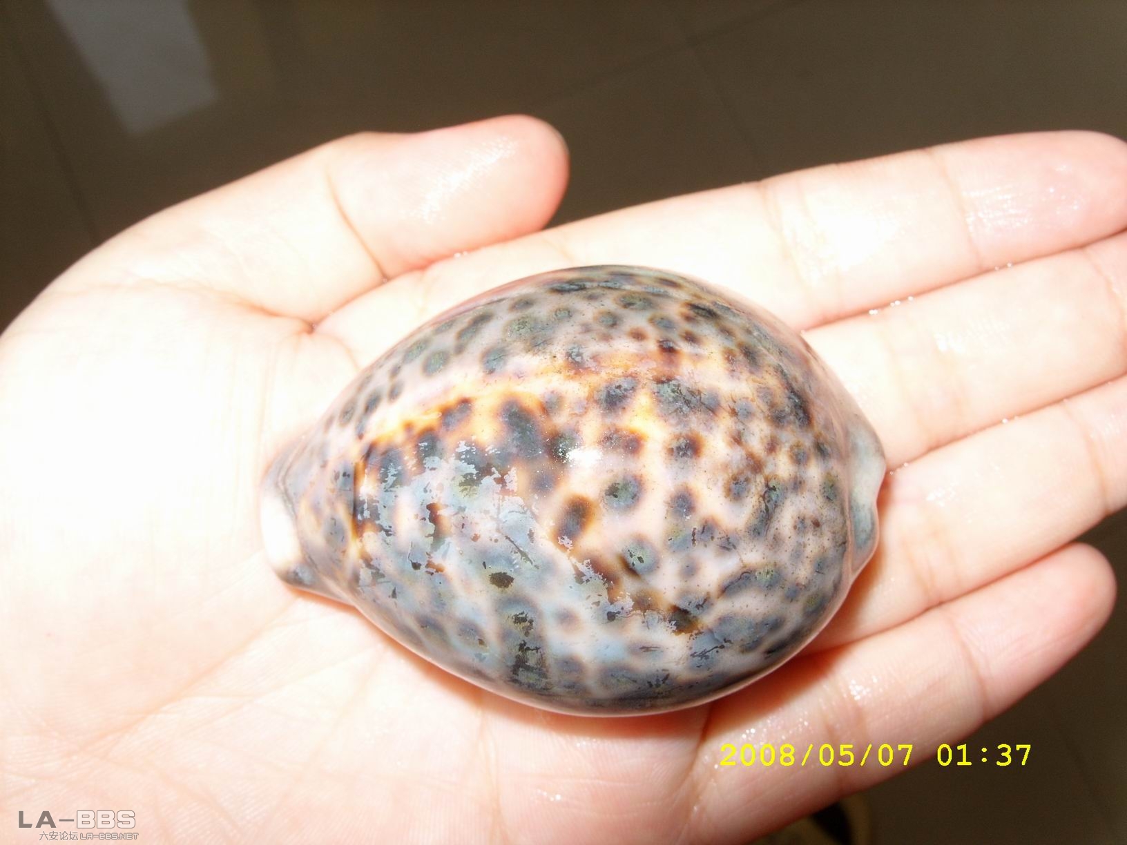 调整大小 SS850366.JPG