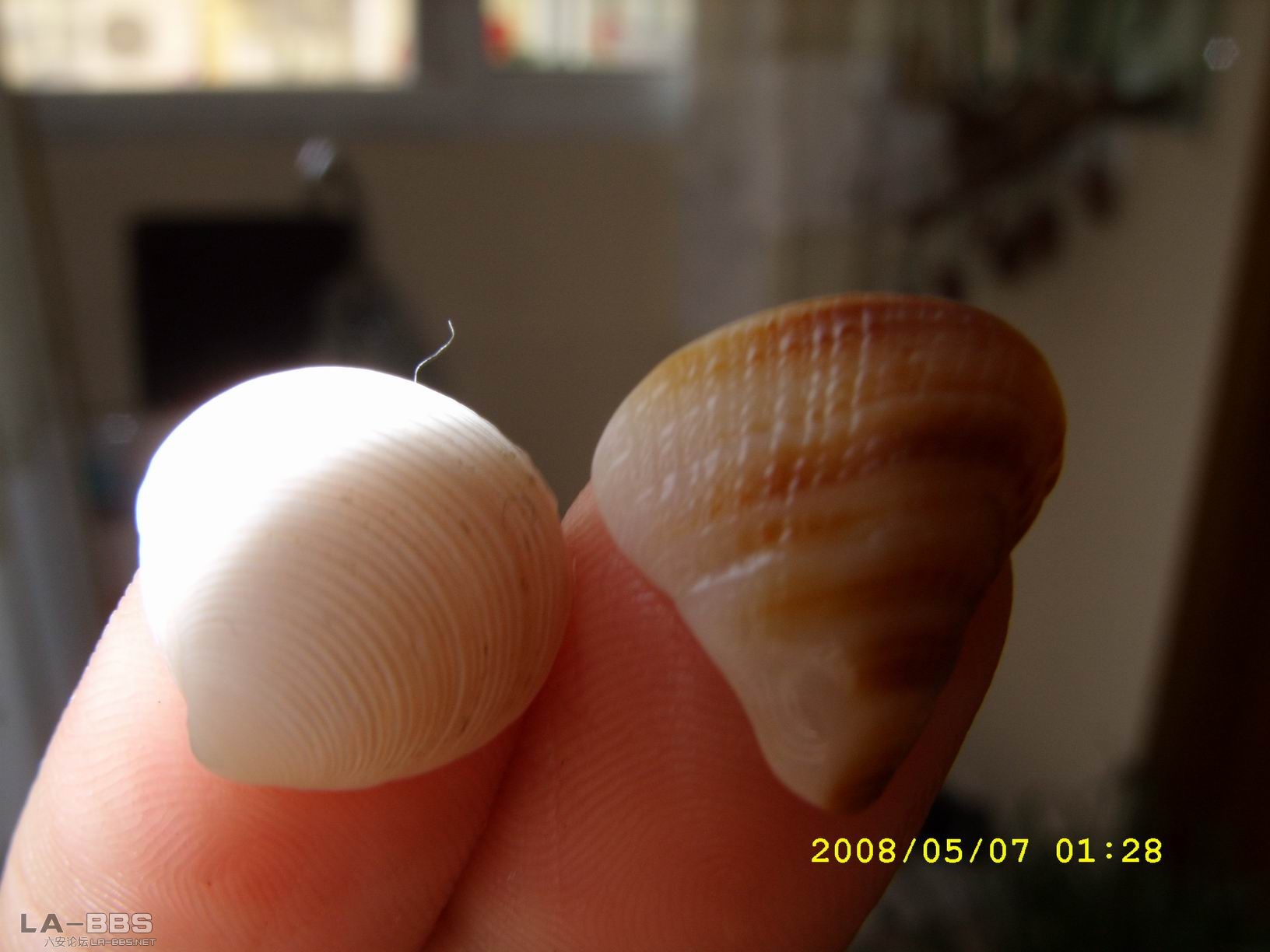 调整大小 SS850355.JPG