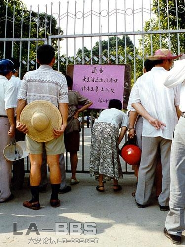  有一种等待叫希望