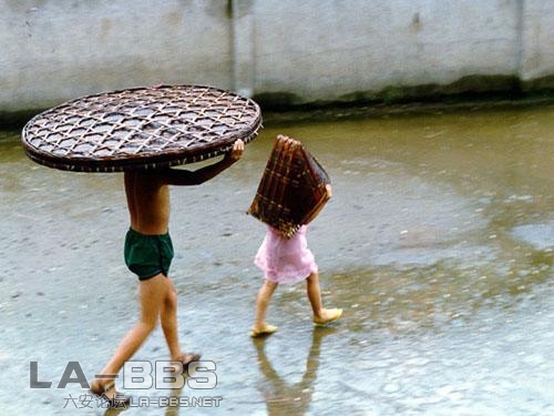 有一种快乐叫风雨同行