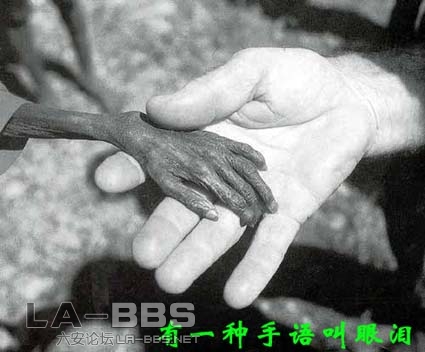 有一种手语叫眼泪