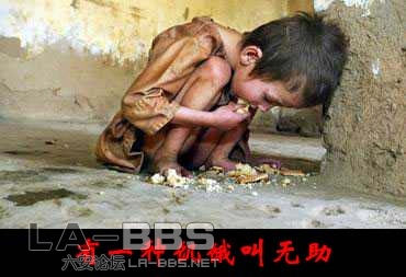  有一种饥饿叫无助