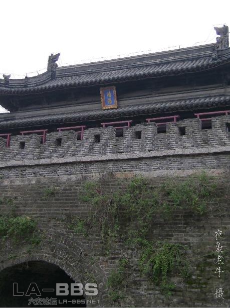 DSC00384 拷贝.jpg.jpg