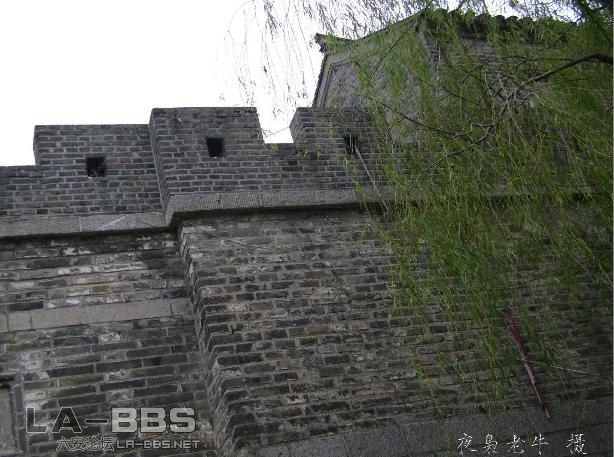 DSC00386 拷贝.jpg.jpg