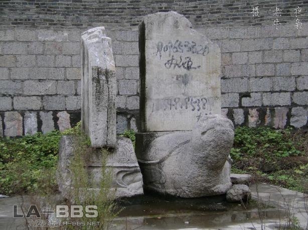 DSC00383 拷贝.jpg.jpg