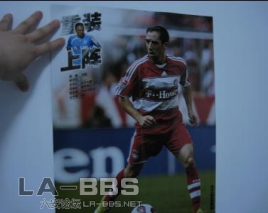 参考我房间上贴的里贝里海报哈