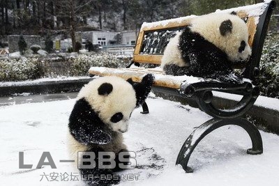 哎呀，踩到啥了？！