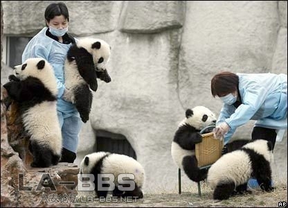 不许抢板凳，撒手~~~~不撒！！！！！