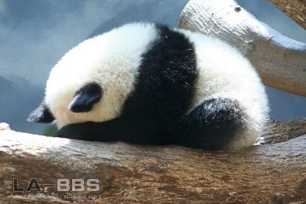 郁闷啊~~~~~~要减肥了