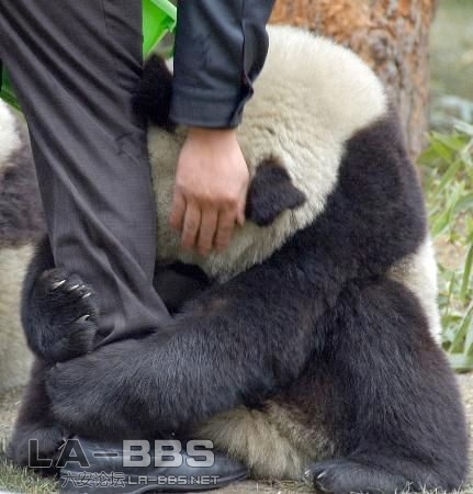 555不要走陪我玩