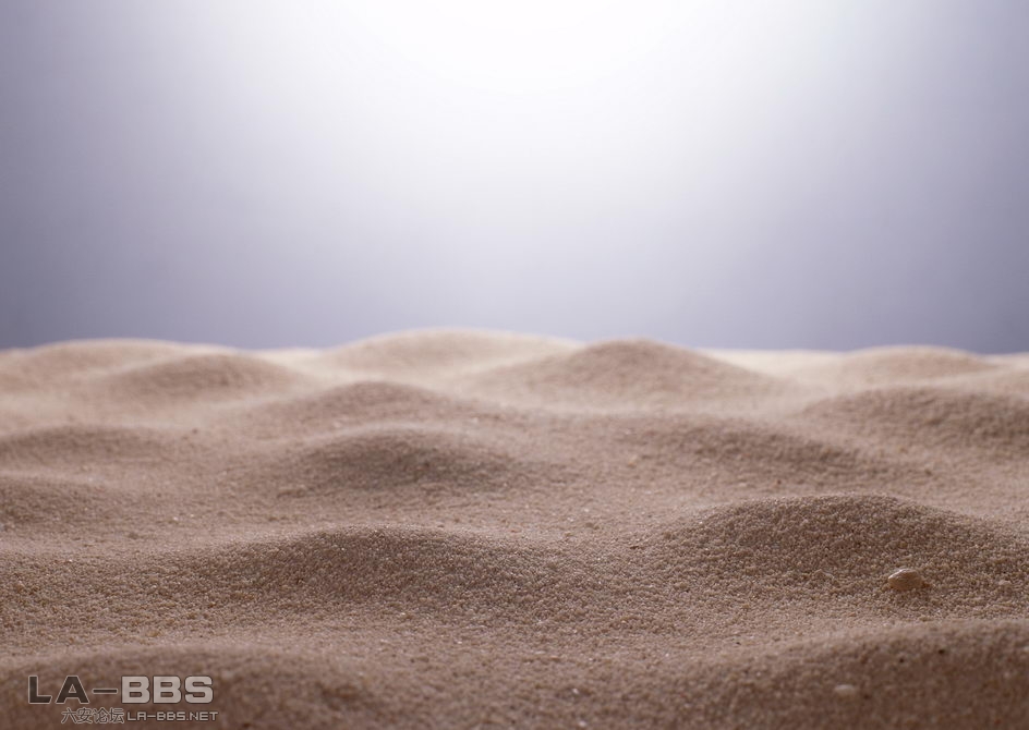 沙.jpg