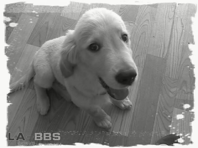 看，長大了沒有？