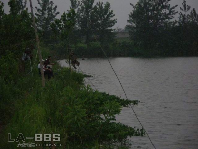 忙着开饵没打灯