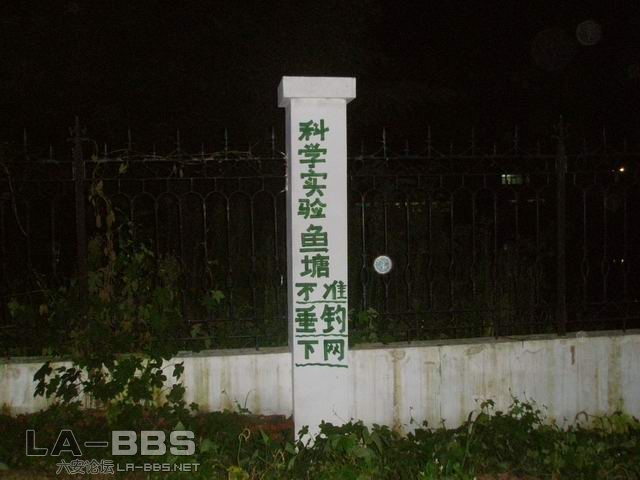 想想，此塘的鱼大的可怕啊！