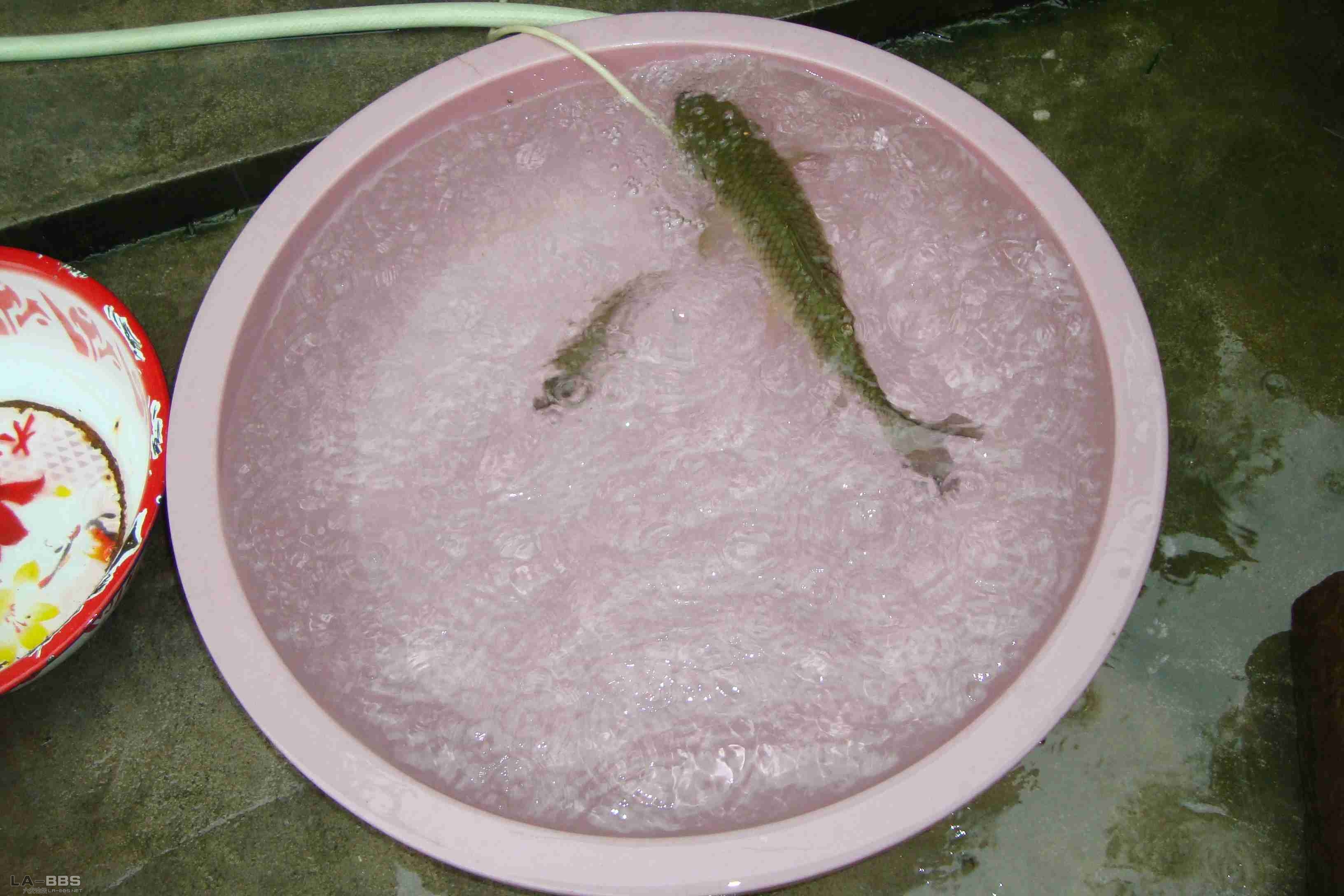 去掉我的拖鞋，再看看