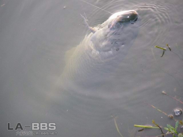 快要胜利了｀｀｀