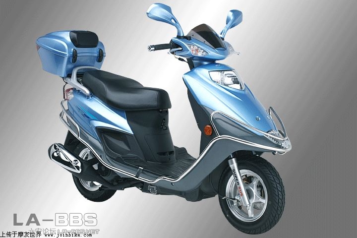 豪爵的铃木金巨星