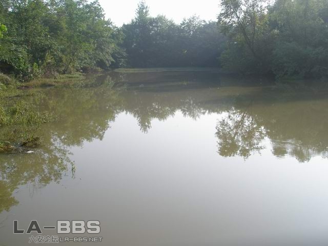 原来的钓位被淹了｀｀５５｀｀