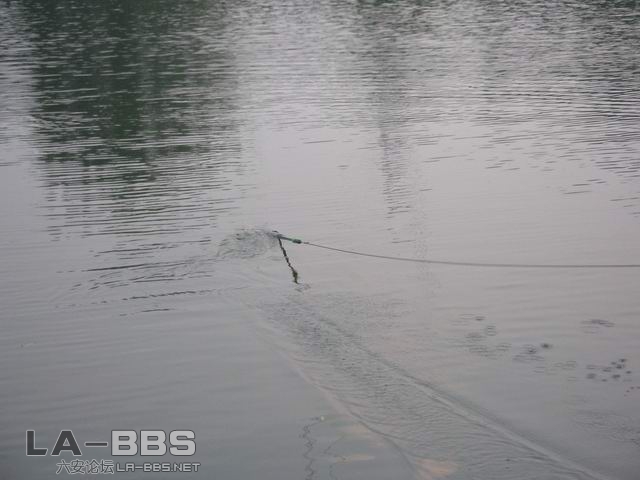 最后一搏｀｀｀