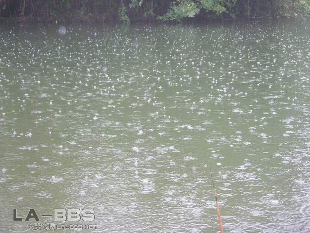 雨真大啊，看到我的阴天尾了吗？