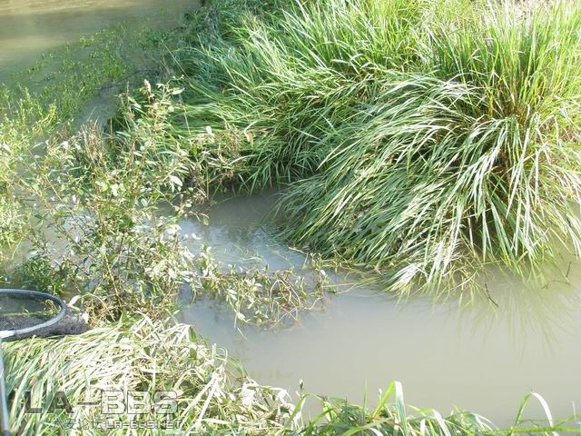 昨天一去，傻眼了，涨水``