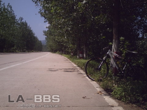 这是去桐城的路上拍摄的，一路上都是这样的丘陵地，上下坡很多。太阳出来雾气才散去，所以在舒城的路上没有