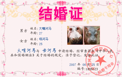 河马结婚.gif