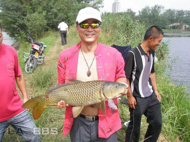 来一张帅的｀｀