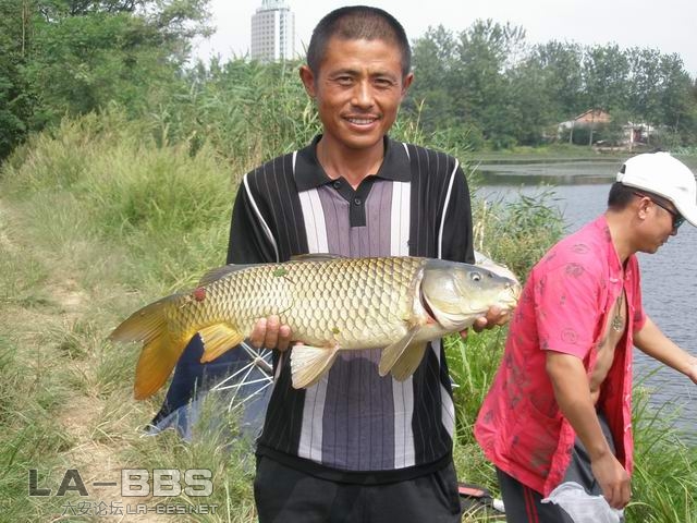 都来照个片片开心下下