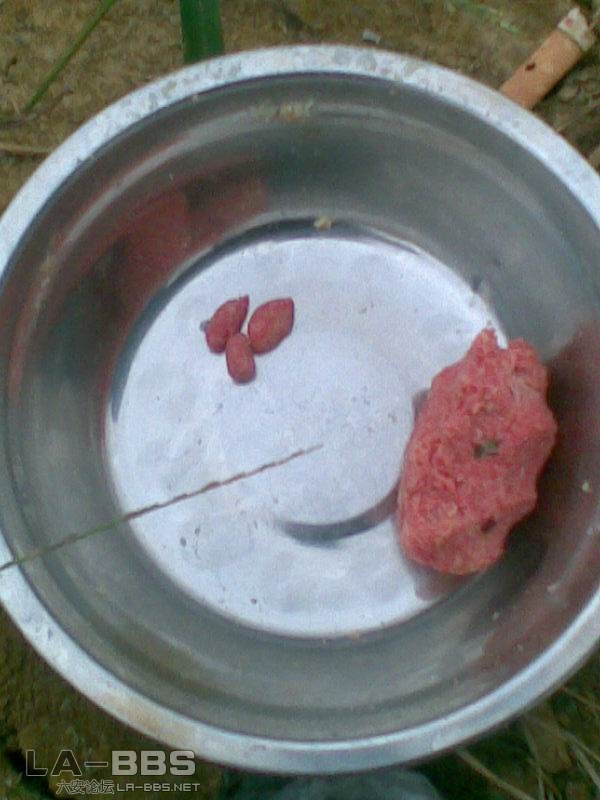 速攻2#（腥味）