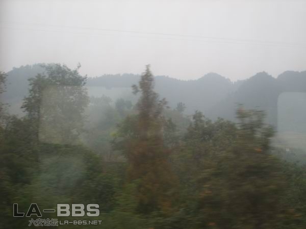 调整大小 SS850602.JPG