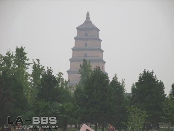 调整大小 SS850734.JPG