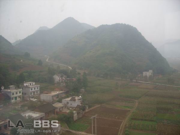 调整大小 SS850609.JPG